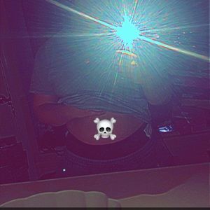 Meet your Posher, Elsa